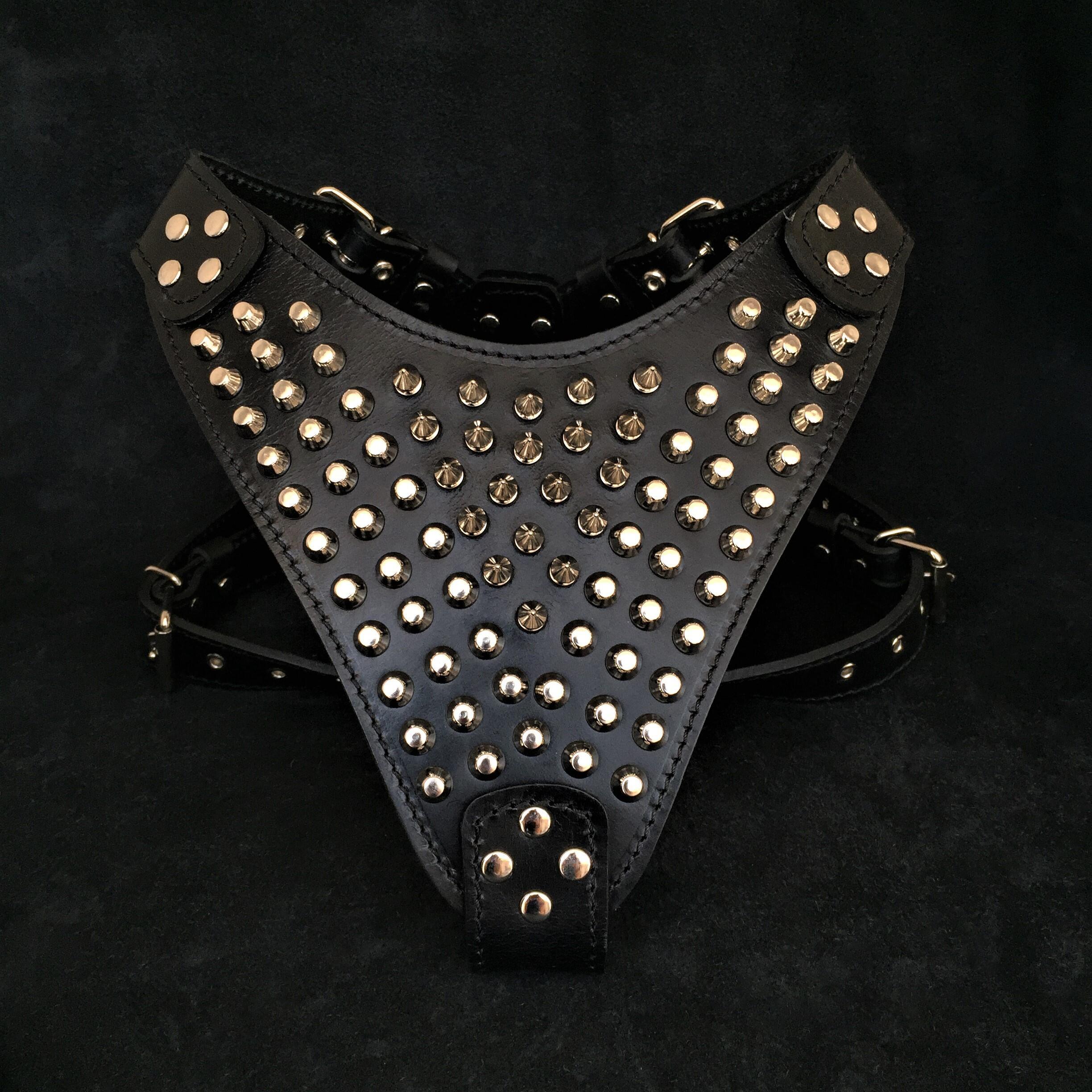 The "Gladiator" harness