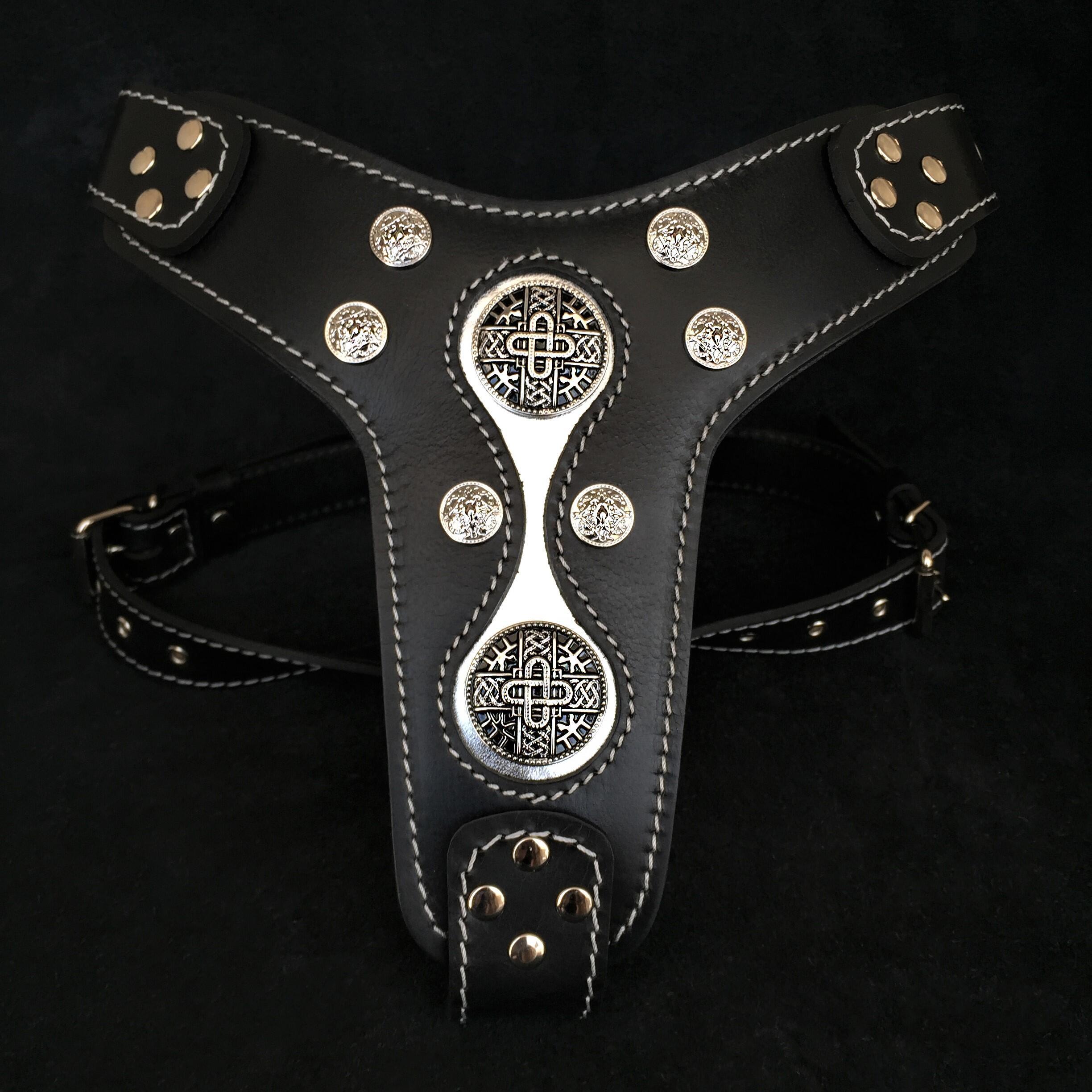 The "Hektor" harness