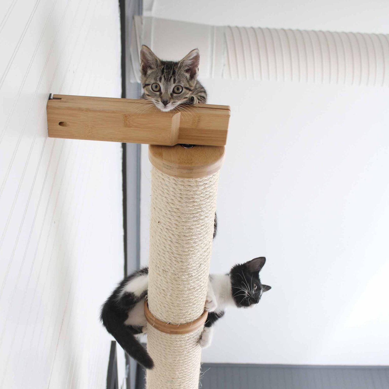 Horizontal Scratching Post (Cat Wall Scratcher) - by Catastrophic Creations