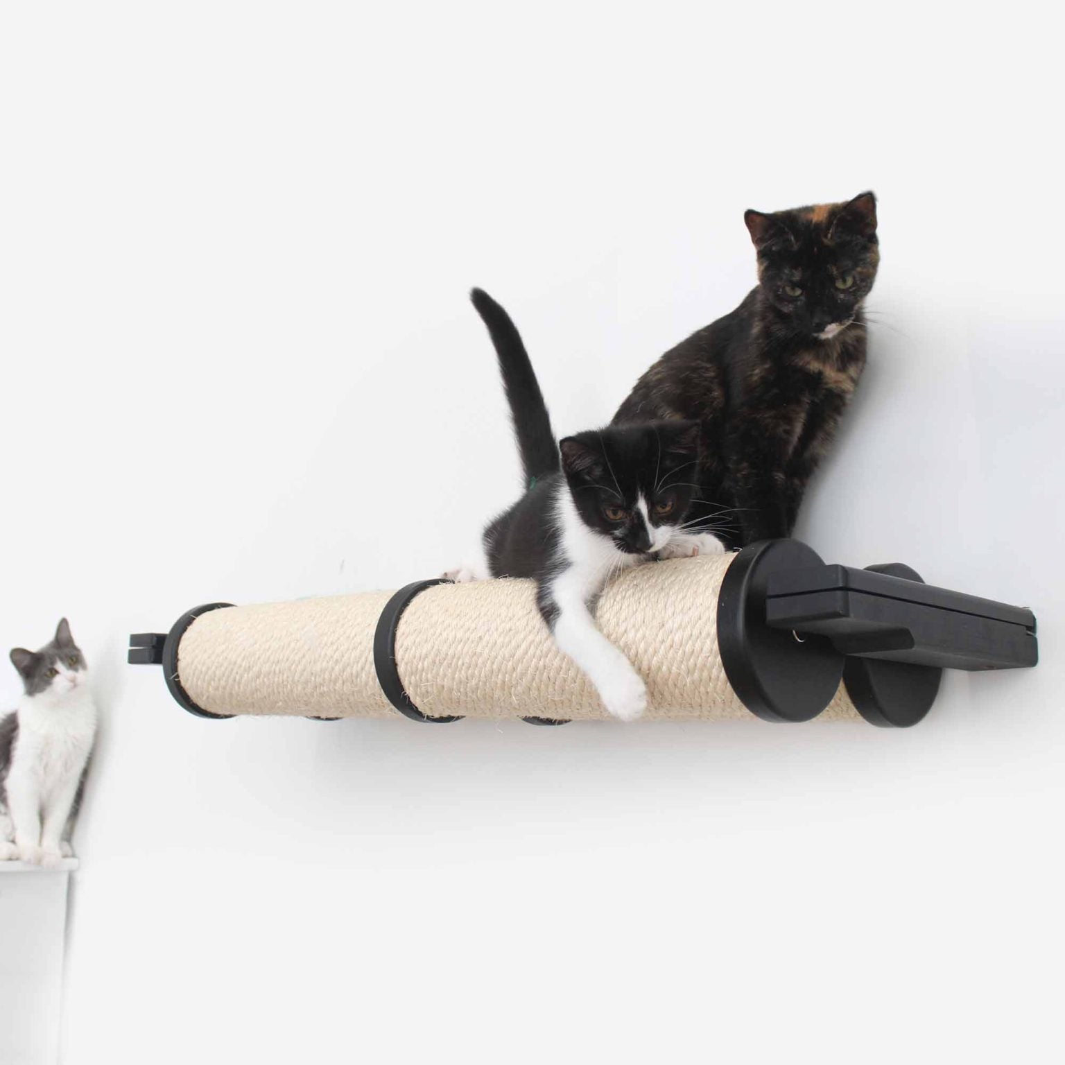 Horizontal Scratching Post (Cat Wall Scratcher) - by Catastrophic Creations