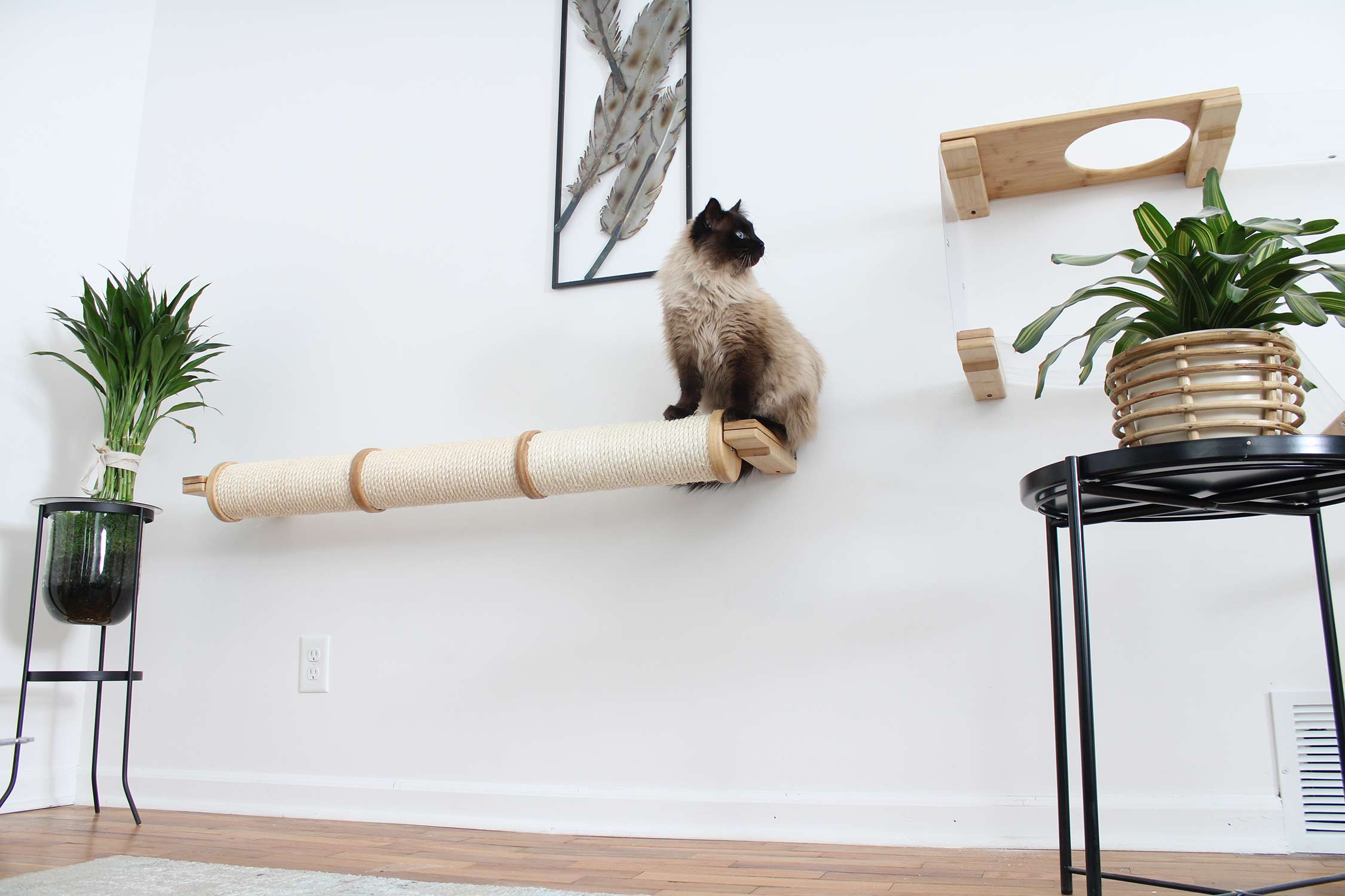 Horizontal Scratching Post (Cat Wall Scratcher) - by Catastrophic Creations