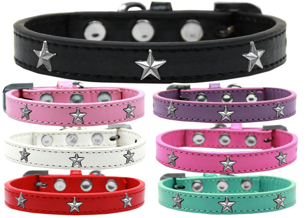 Dog, Puppy & Pet Widget Fashion Collar, "Silver Star"