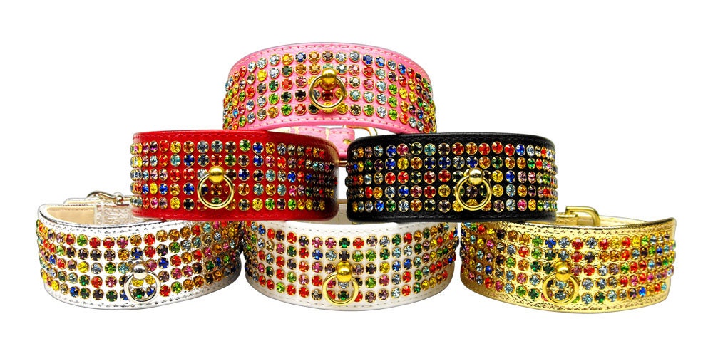 Dog, Puppy & Pet Collar, "Five Row Confetti Jewel Set"