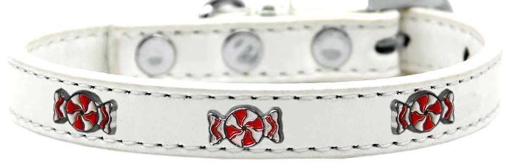 Dog, Puppy & Pet Widget Fashion Collar, "Peppermint"