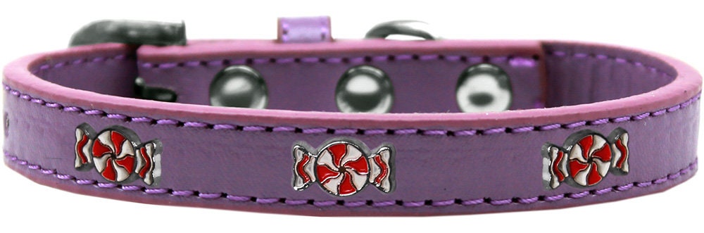 Dog, Puppy & Pet Widget Fashion Collar, "Peppermint"