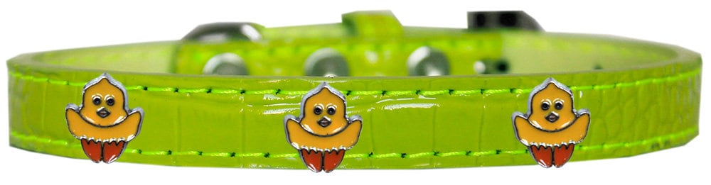 Dog, Puppy & Pet Designer Croc Widget Collar, "Chickadee"