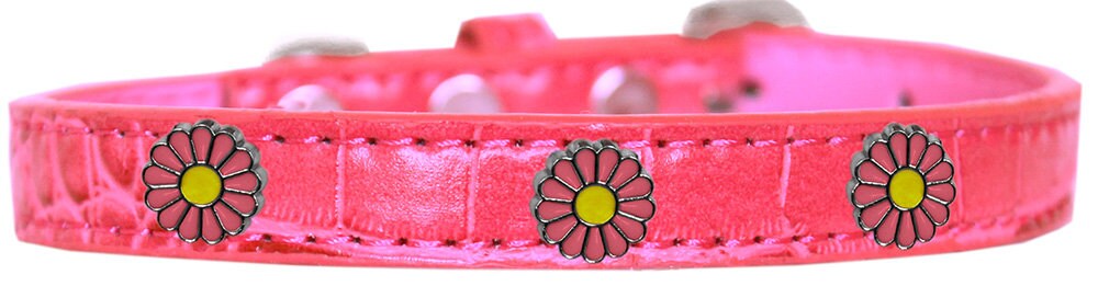 Dog, Puppy & Pet Designer Croc Widget Collar, "White Daisies"