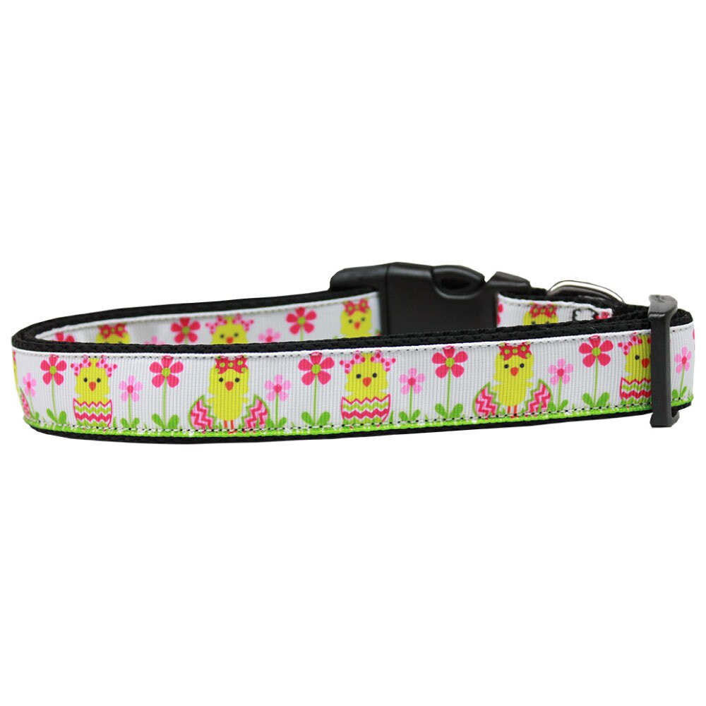 Pet Dog & Cat Nylon Collar or Leash, "Spring Chicken"