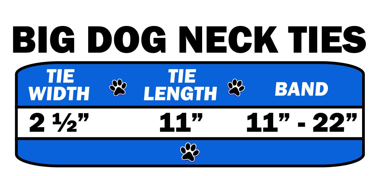 Big Dog Neck Ties, "Bright Stripes"