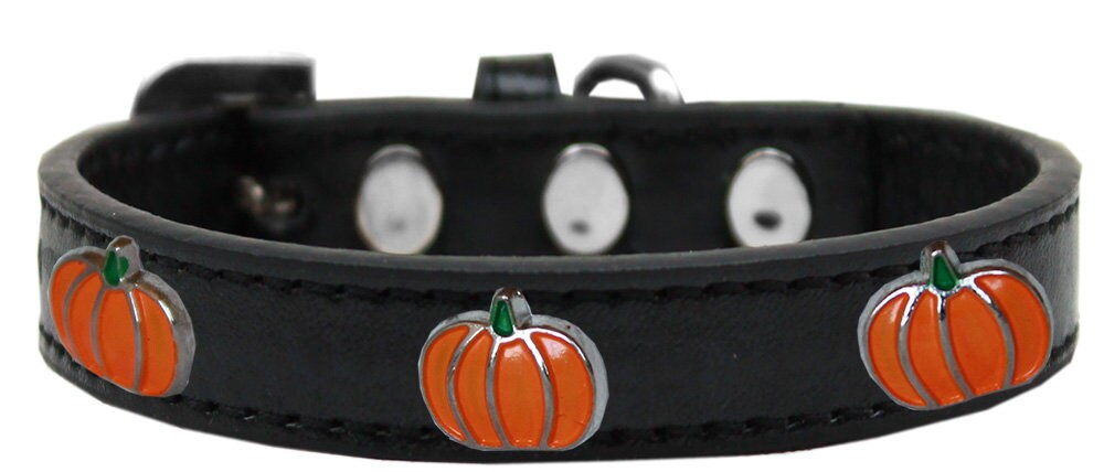 Dog, Puppy and Pet Widget Fashion Collar, "Pumpkin"