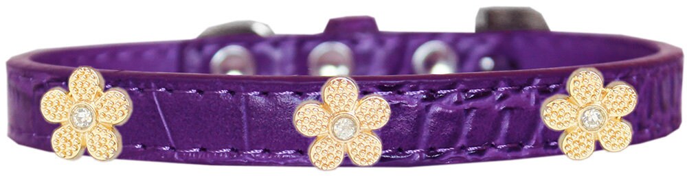 Dog, Puppy & Pet Designer Croc Widget Collar, "Gold Flowers"