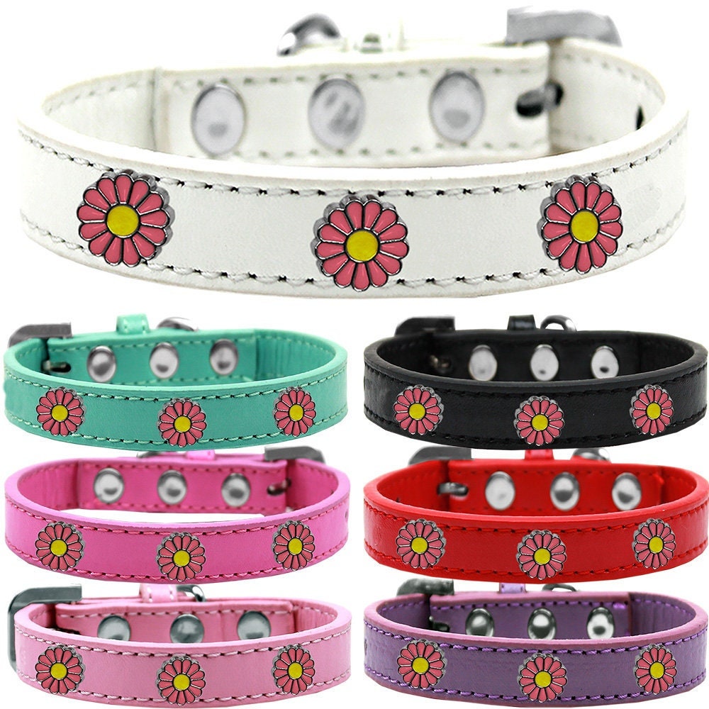 Dog, Puppy and Pet Widget Fashion Collar, "Pink Daisies"