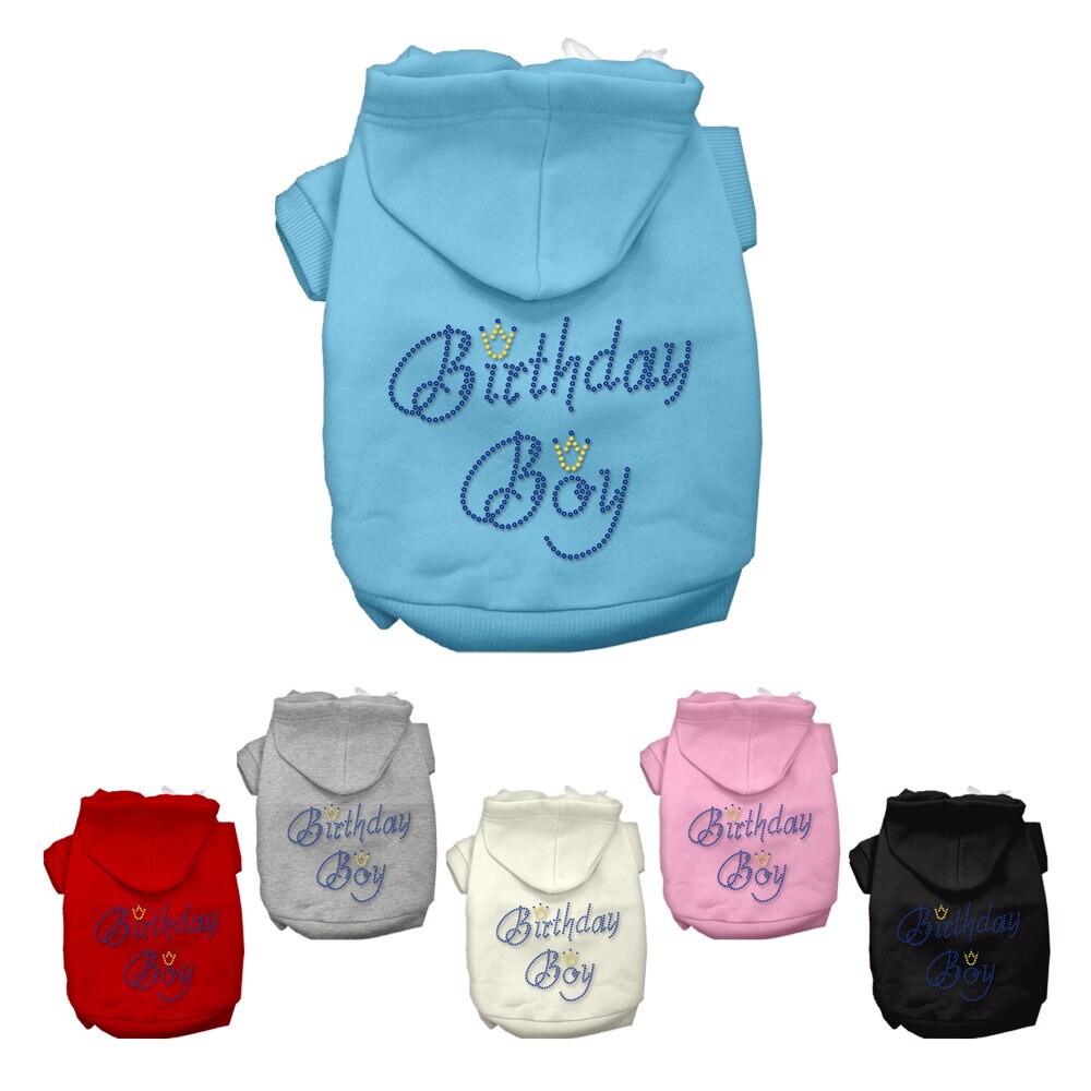 Birthday Pet Dog & Cat Hoodie Rhinestone, "Birthday Boy"