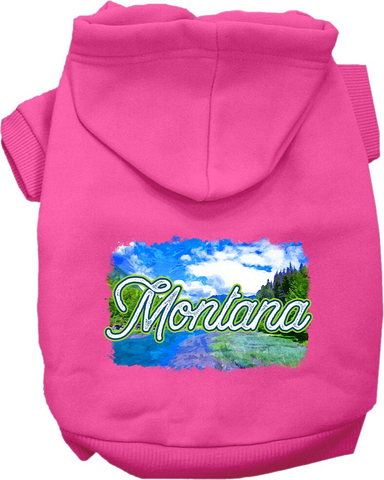 Pet Dog & Cat Screen Printed Hoodie for Medium to Large Pets (Sizes 2XL-6XL), "Montana Summer"