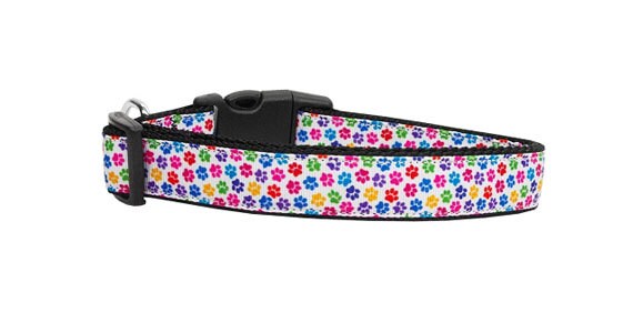 Pet Dog & Cat Nylon Collar or Leash, "Confetti Paws"