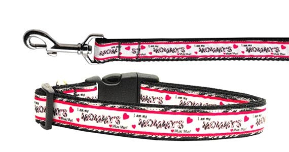 Pet Dog & Cat Nylon Collar or Leash, "Mommy's Mini Me"