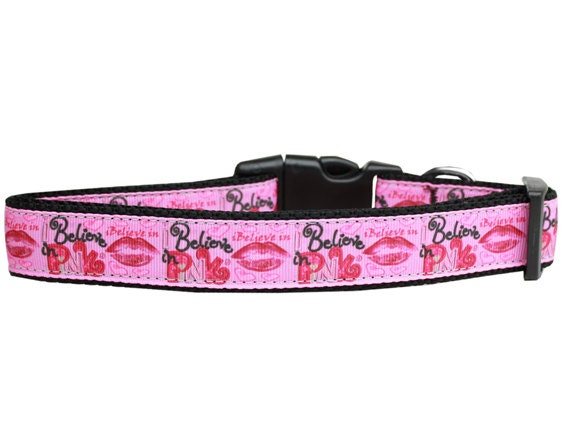 Pet Dog & Cat Nylon Collar or Leash, "Believe in Pink"