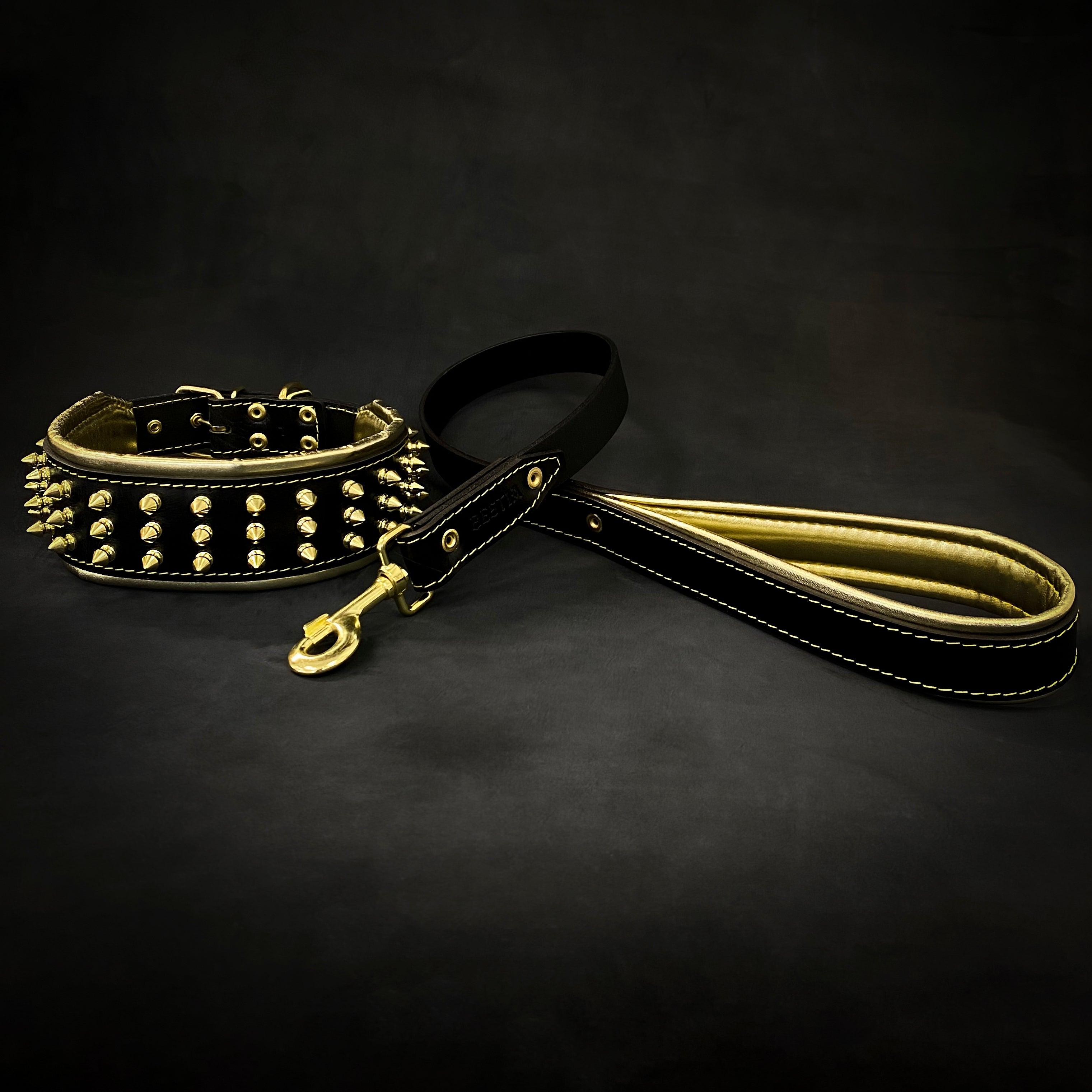 The "Gold Giant" collar