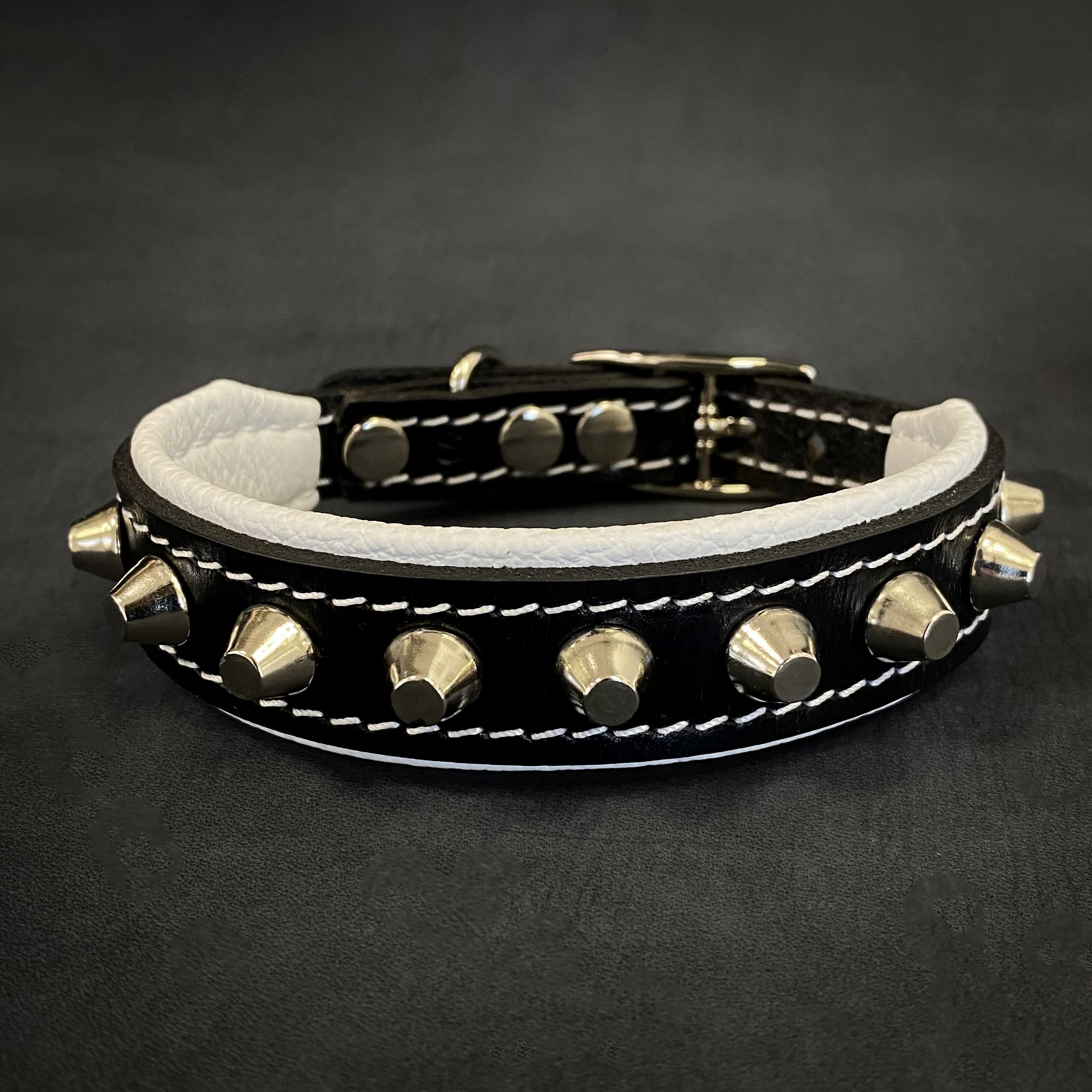 The "Rock" collar