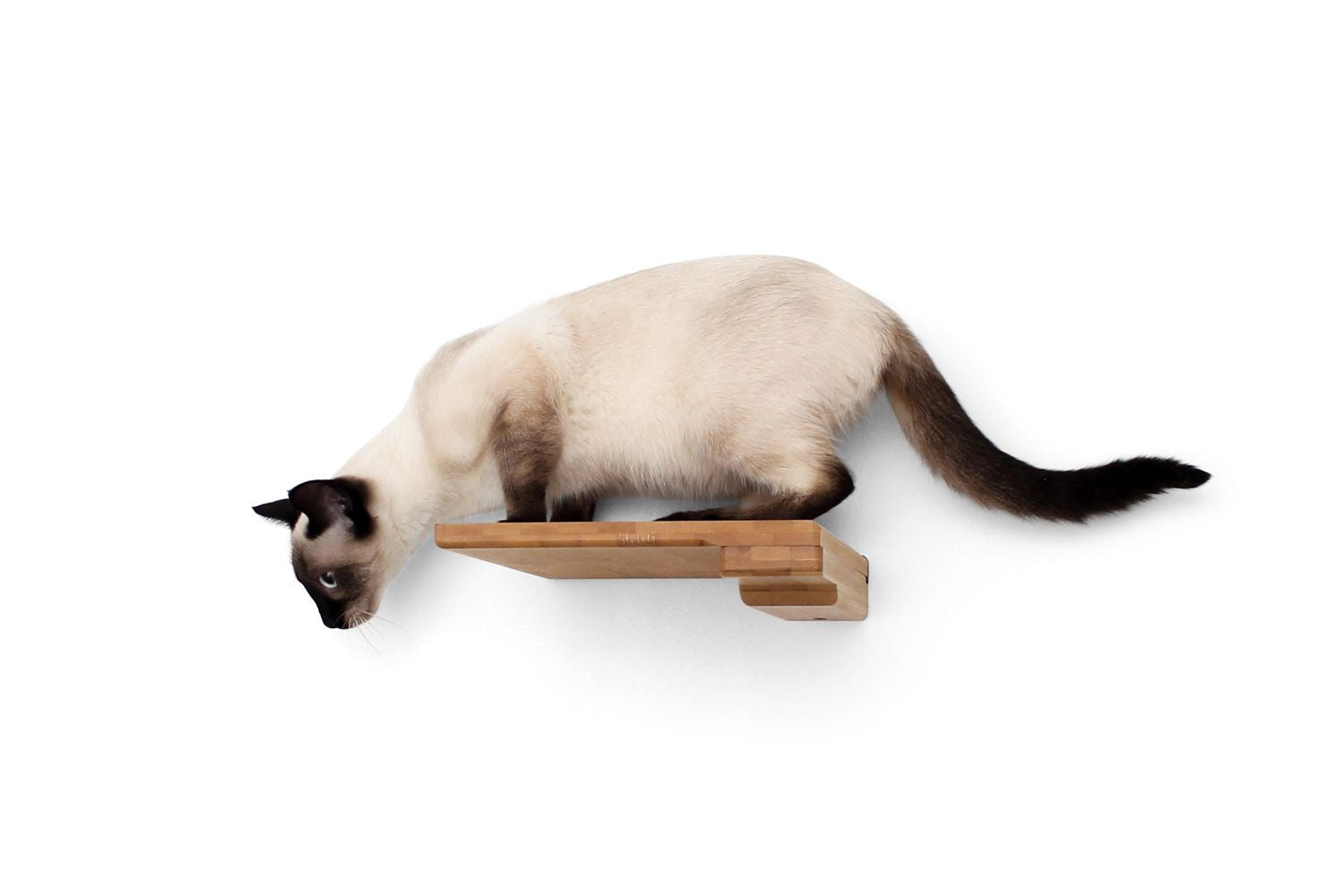 Cat Climbing Shelf - by Catastrophic Creations