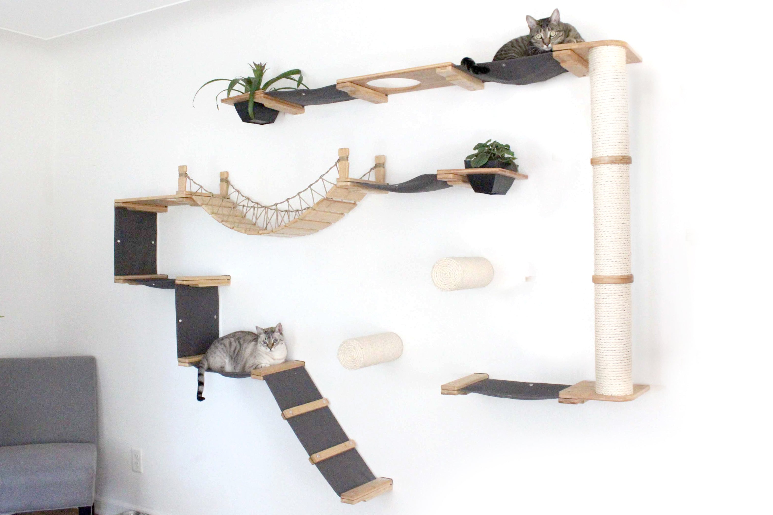 The Juggernaut (Wall-Mounted Cat Tree/Condo) - by Catastrophic Creations