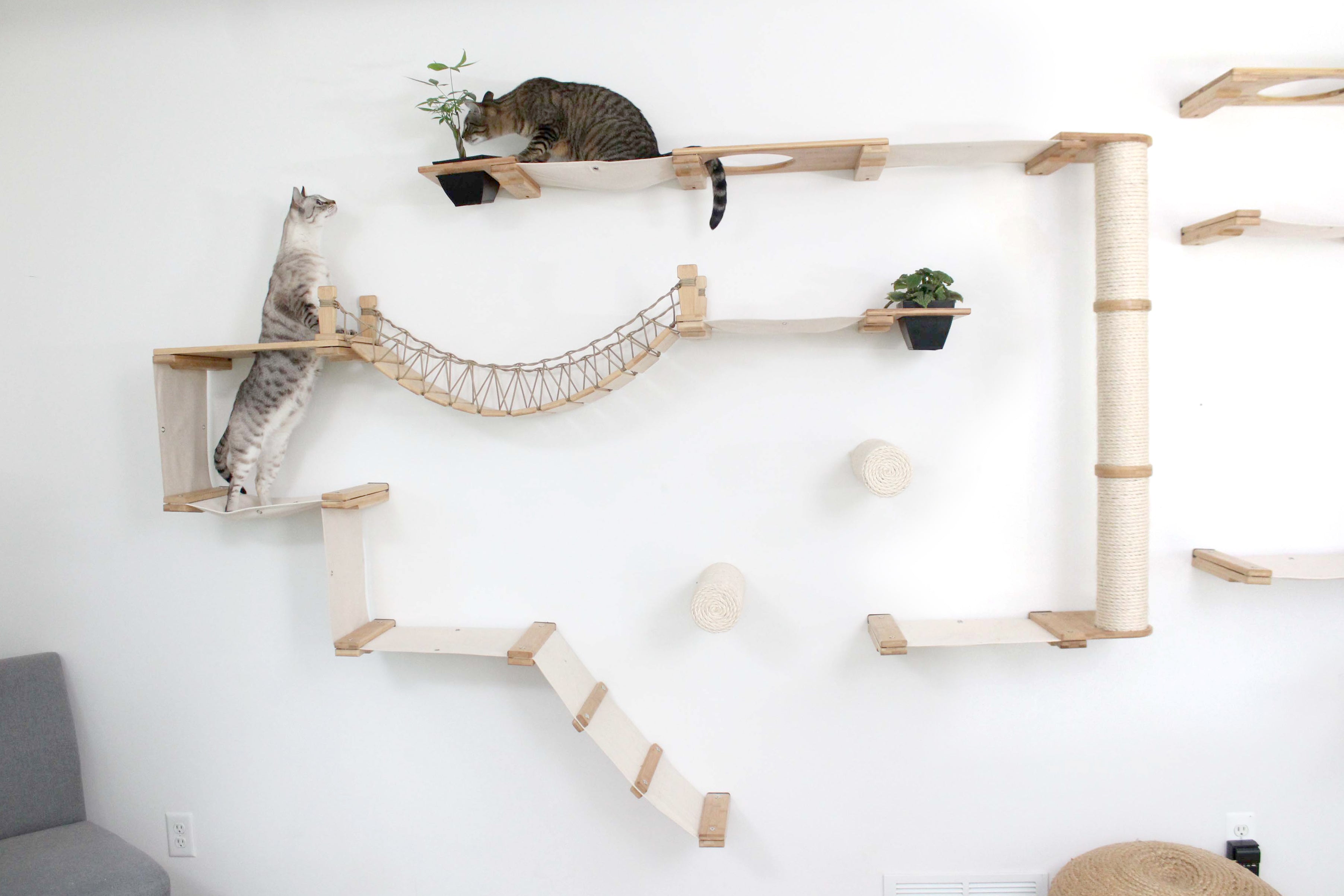 The Juggernaut (Wall-Mounted Cat Tree/Condo) - by Catastrophic Creations