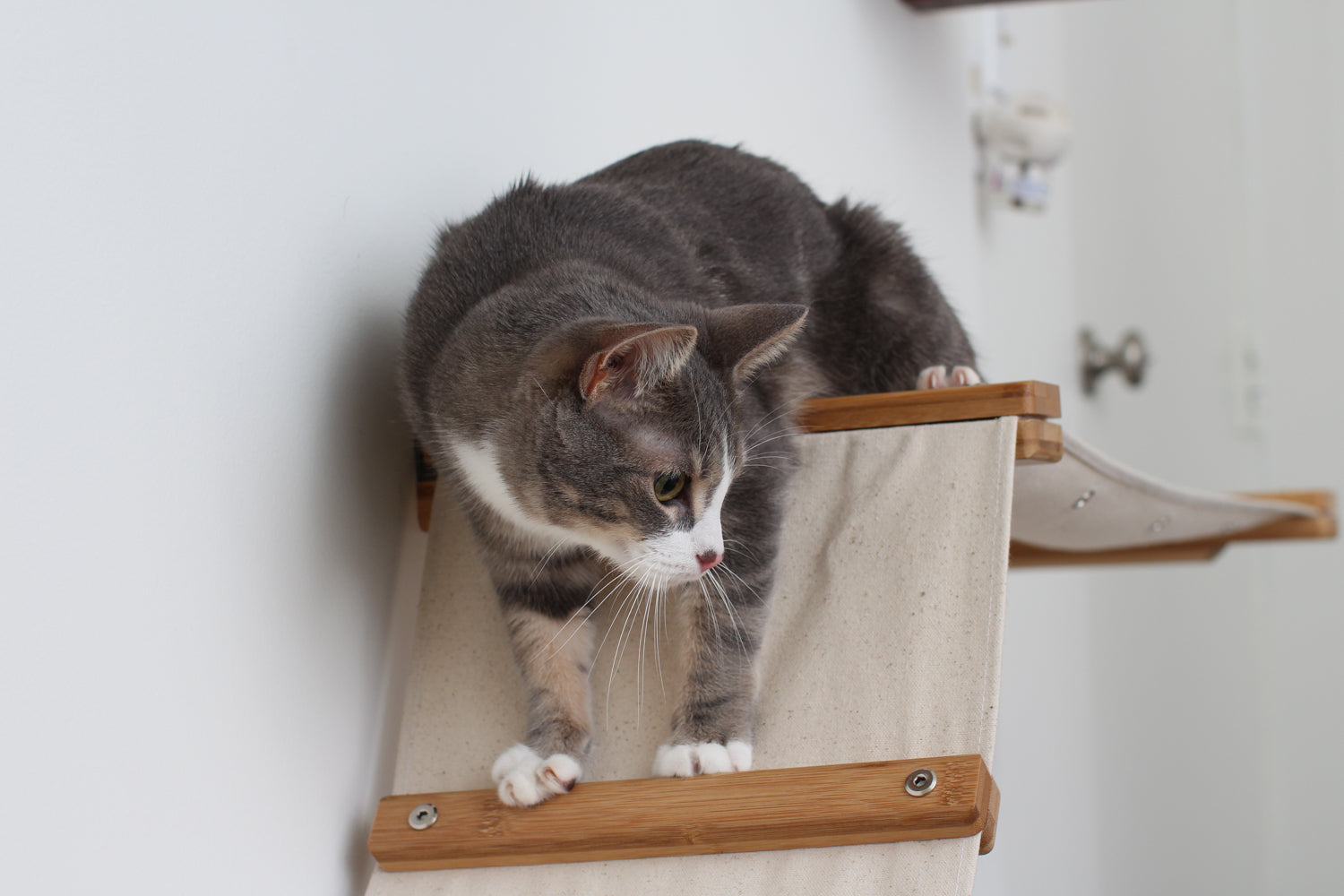 The Lift: Cat Wall Ramp with Hammock Bed - by Catastrophic Creations