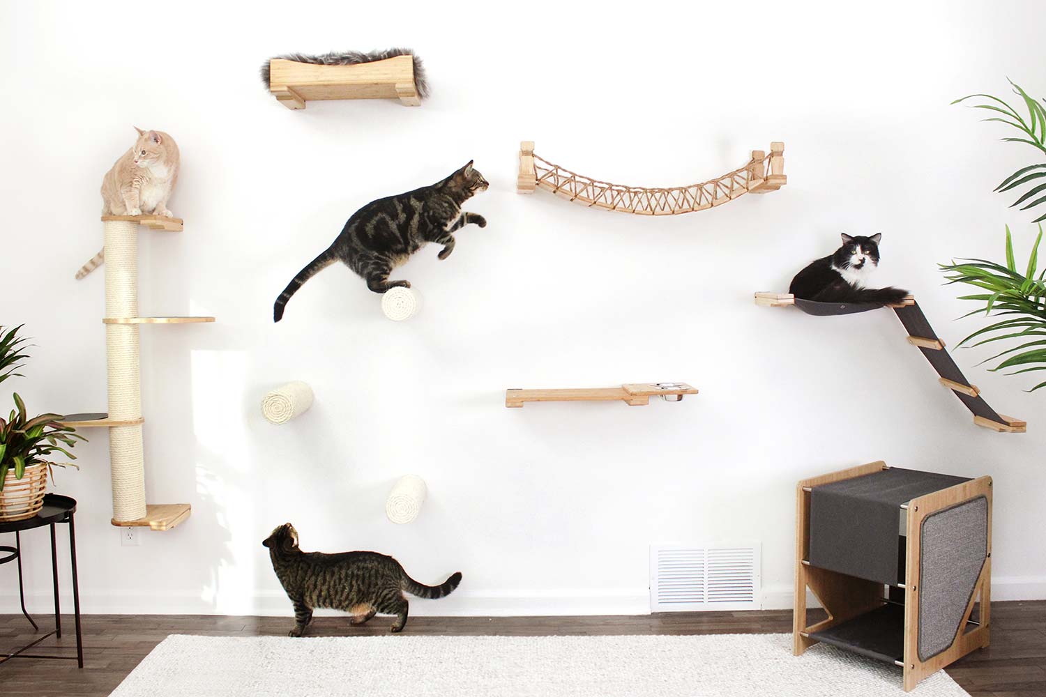 Cat Suspension Bridge - Cat Shelf Set (Wall Mounted) - by Catastrophic Creations