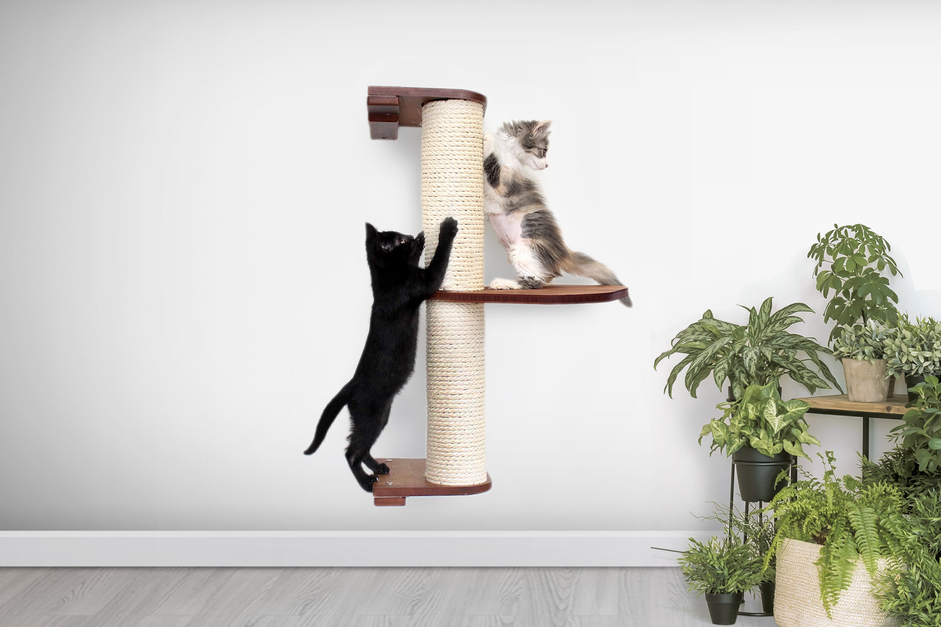 Cat Scratching Pole (Wall-Mounted) - by Catastrophic Creations