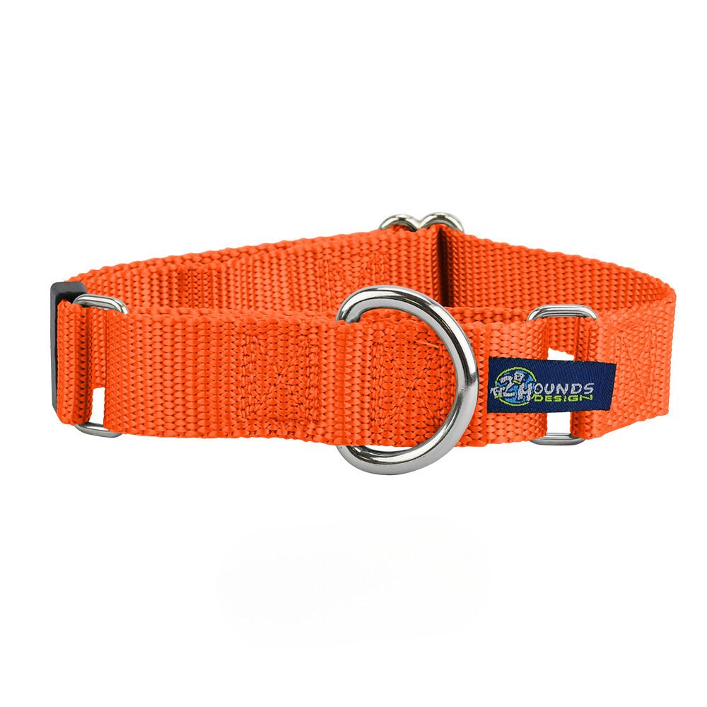 1″ Rust Nylon Martingale Dog Collar