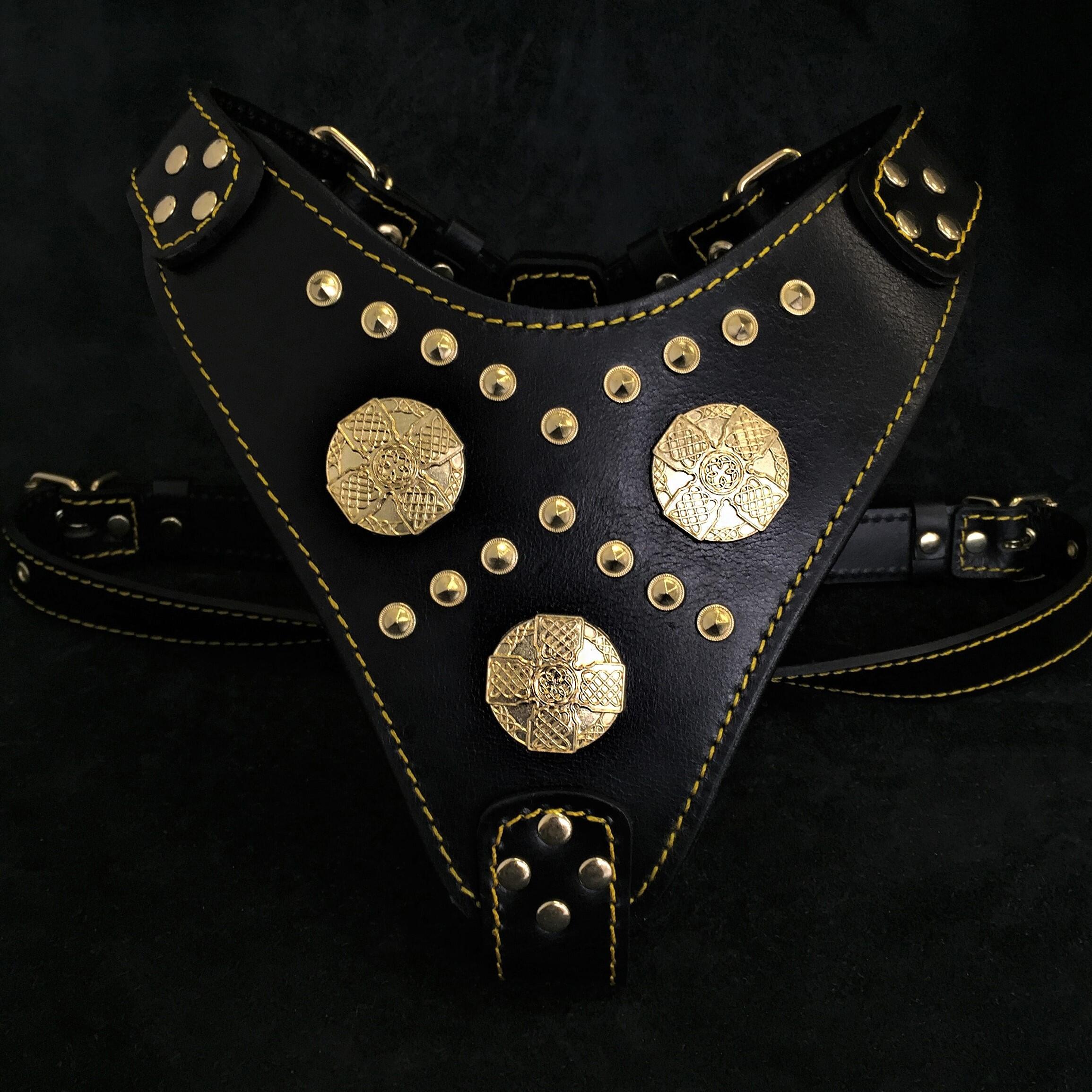 The "Maximus" harness black & gold