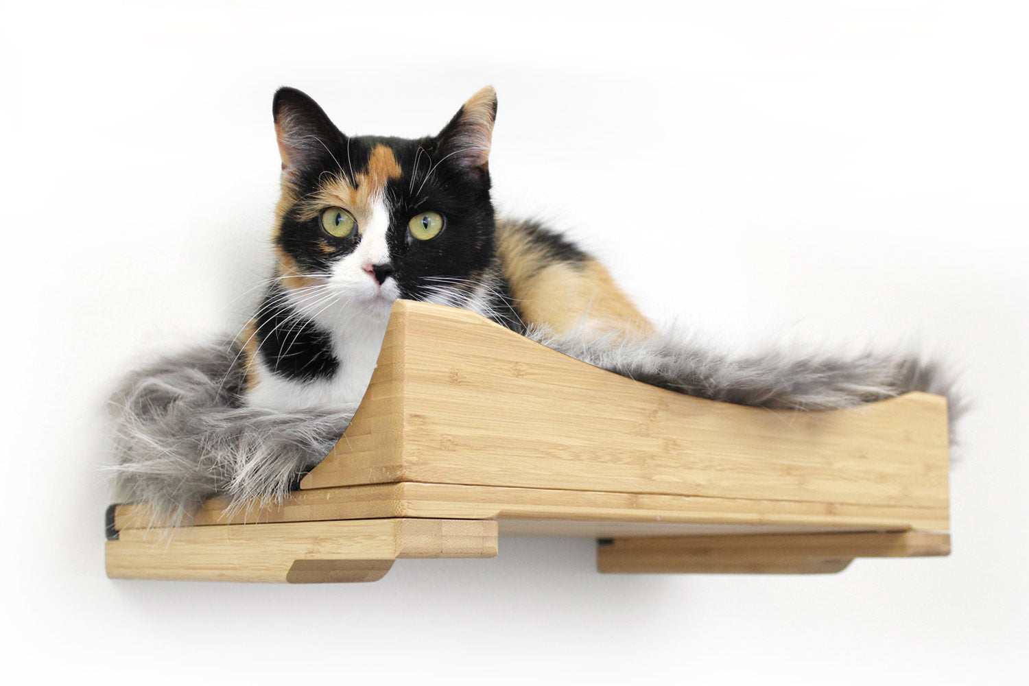 Catastrophic cat furniture hotsell