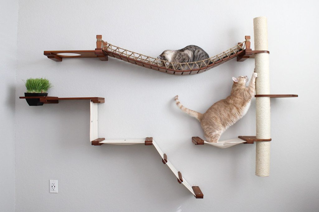 The Expedition Cat Condo (Cat Wall Jungle Gym) - by Catastrophic Creations