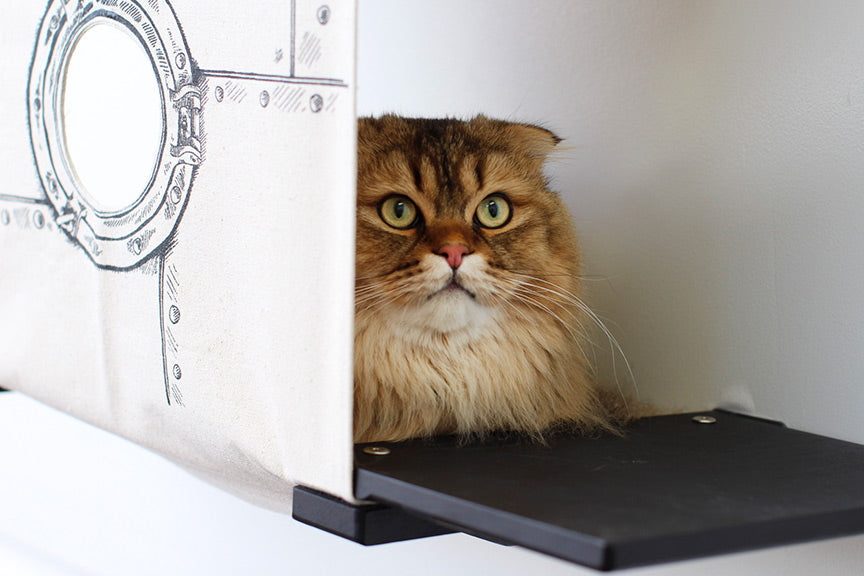 Cat Cubby with Perches - Covered Cat Bed - by Catastrophic Creations