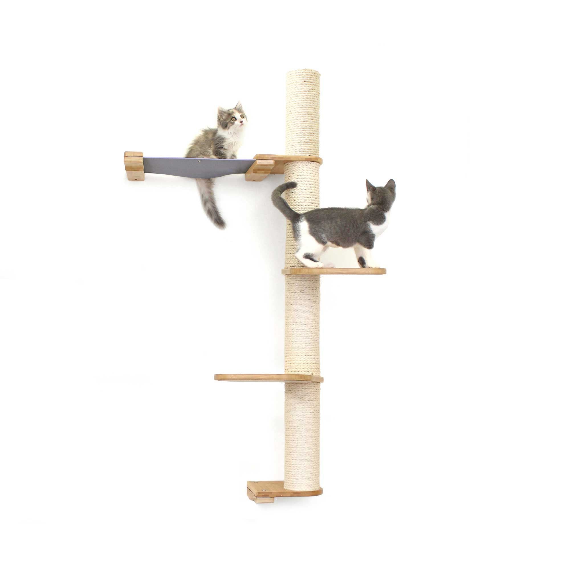 The Crow's Nest: High, Tall Cat Tree/Hammock - by Catastrophic Creations