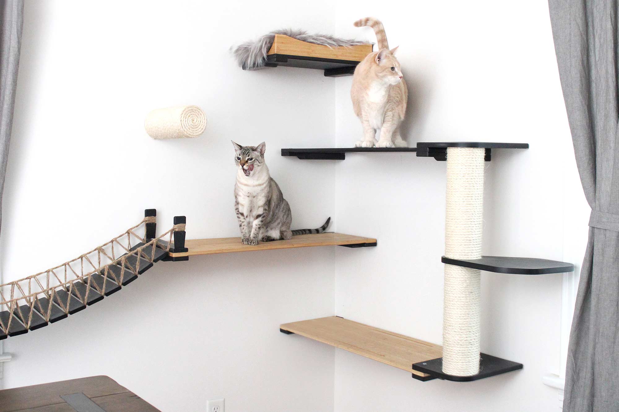 Our Wall-Mounted Cat Bridge - by Catastrophic Creations