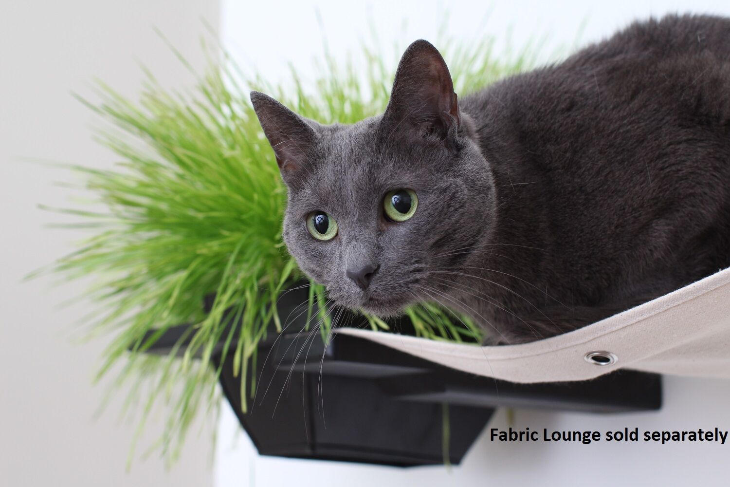 Planter Cat Shelf - for Cat Safe Plants - by Catastrophic Creations