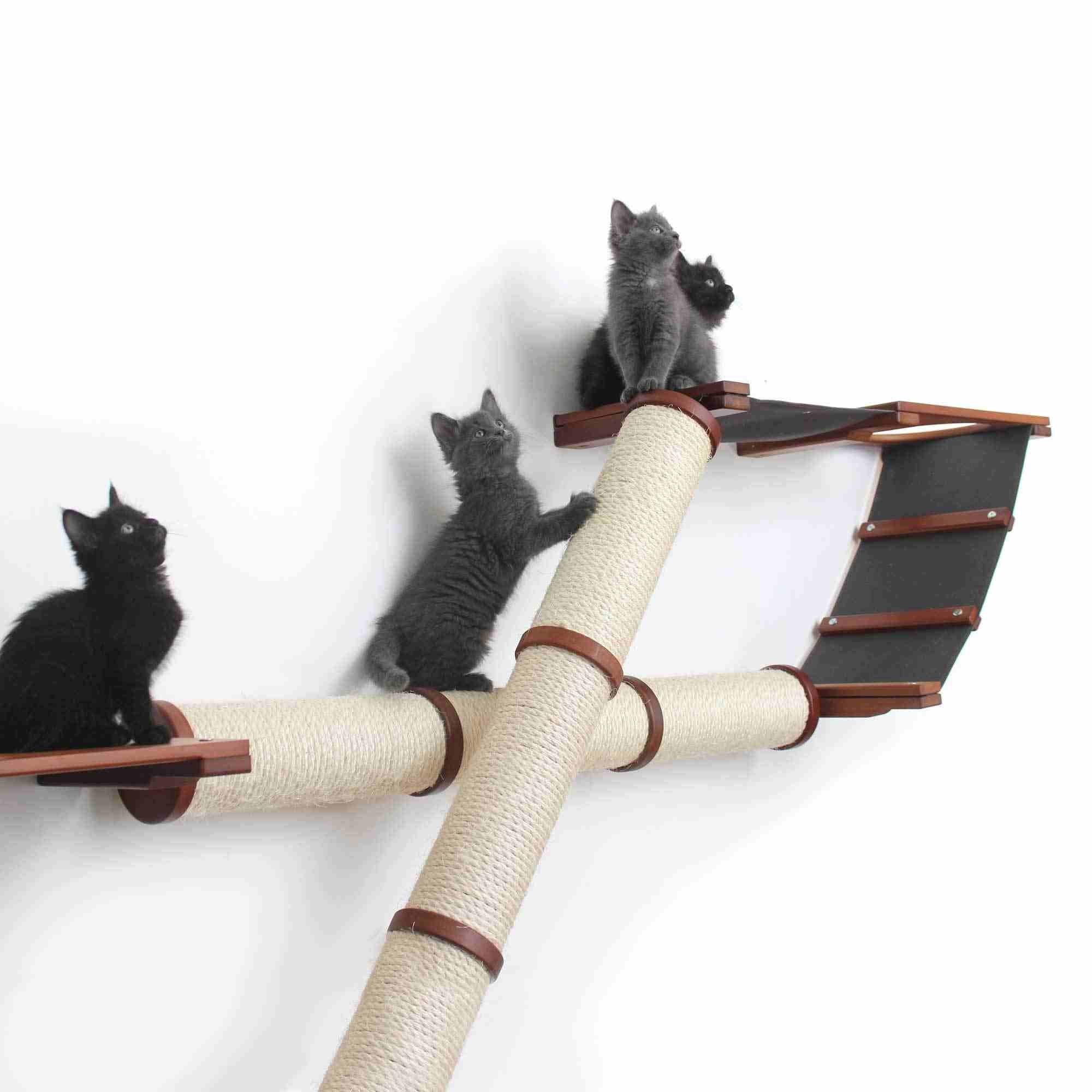 The Plateau Cat Condo - by Catastrophic Creations