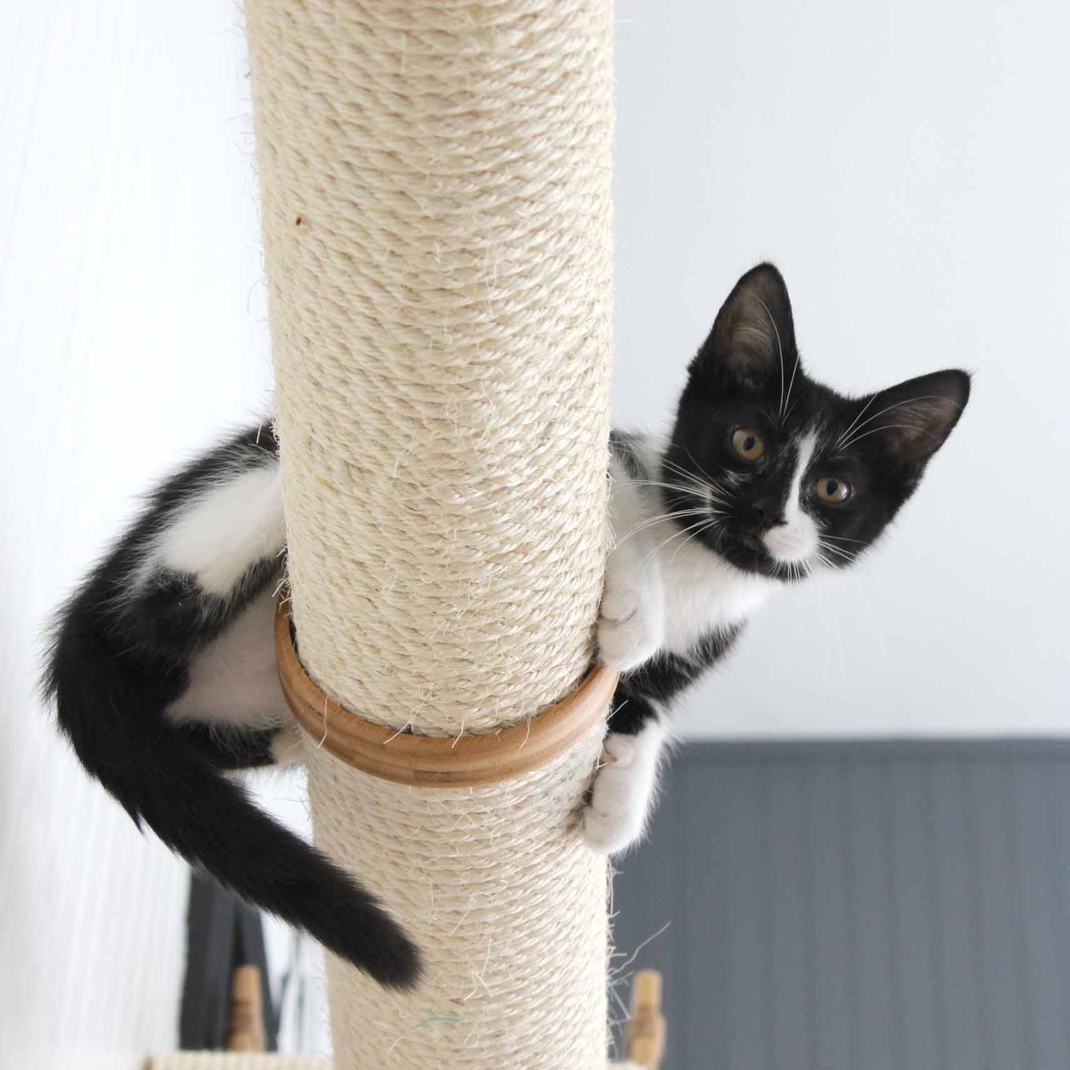 Horizontal Scratching Post (Cat Wall Scratcher) - by Catastrophic Creations