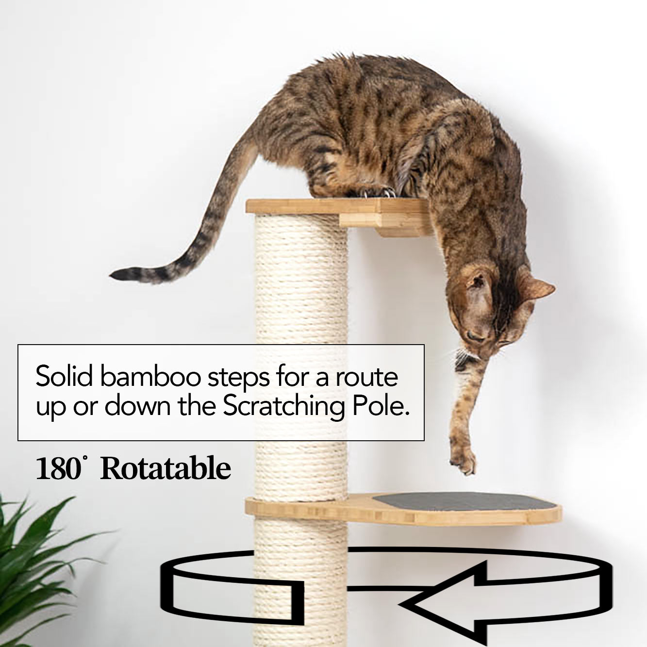 Cat Scratching Pole (Wall-Mounted) - by Catastrophic Creations