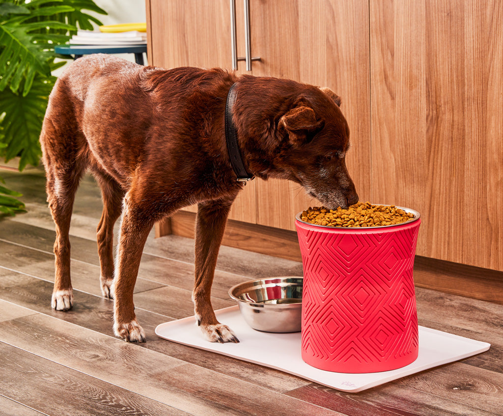 Santa Fe Elevated Dog Bowl