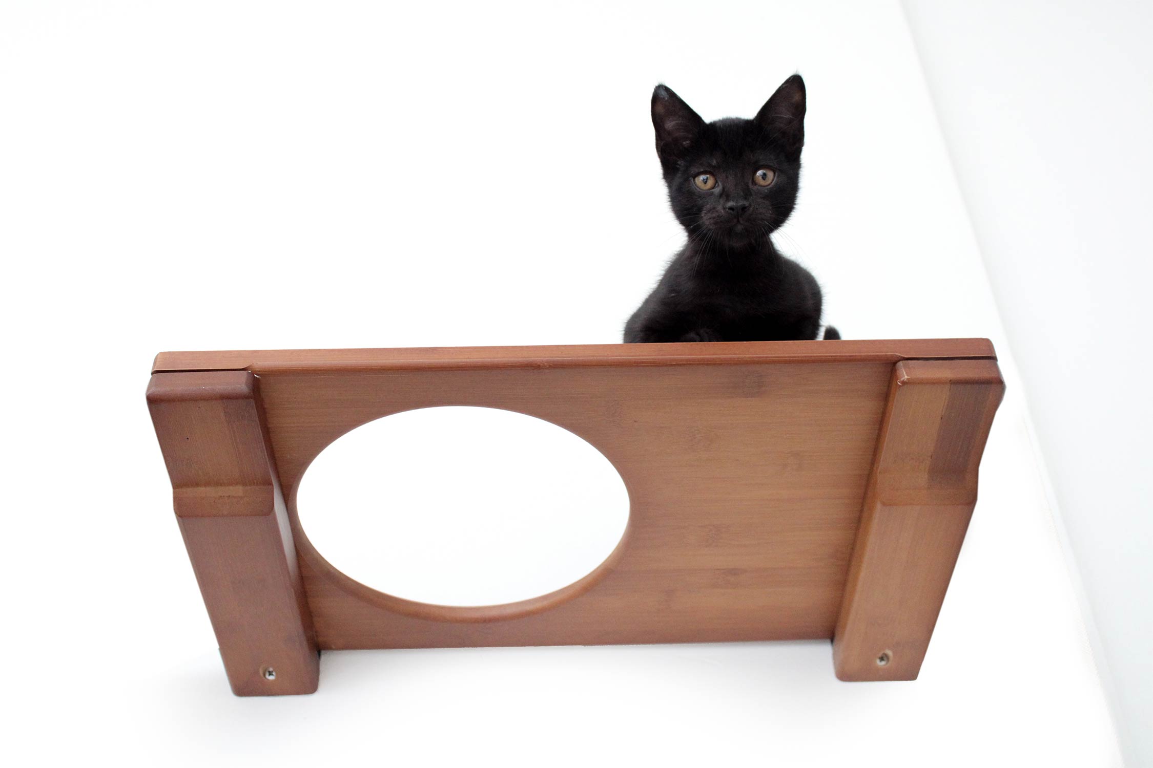 Wall-Mounted Cat Shelf - by Catastrophic Creations