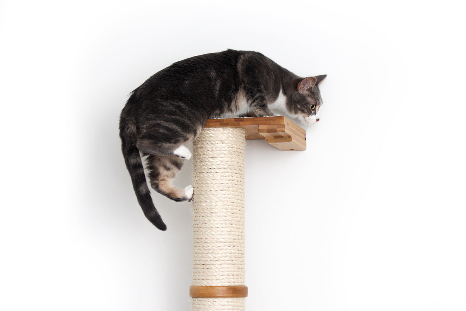 Cat Scratching Pole (Wall-Mounted) - by Catastrophic Creations