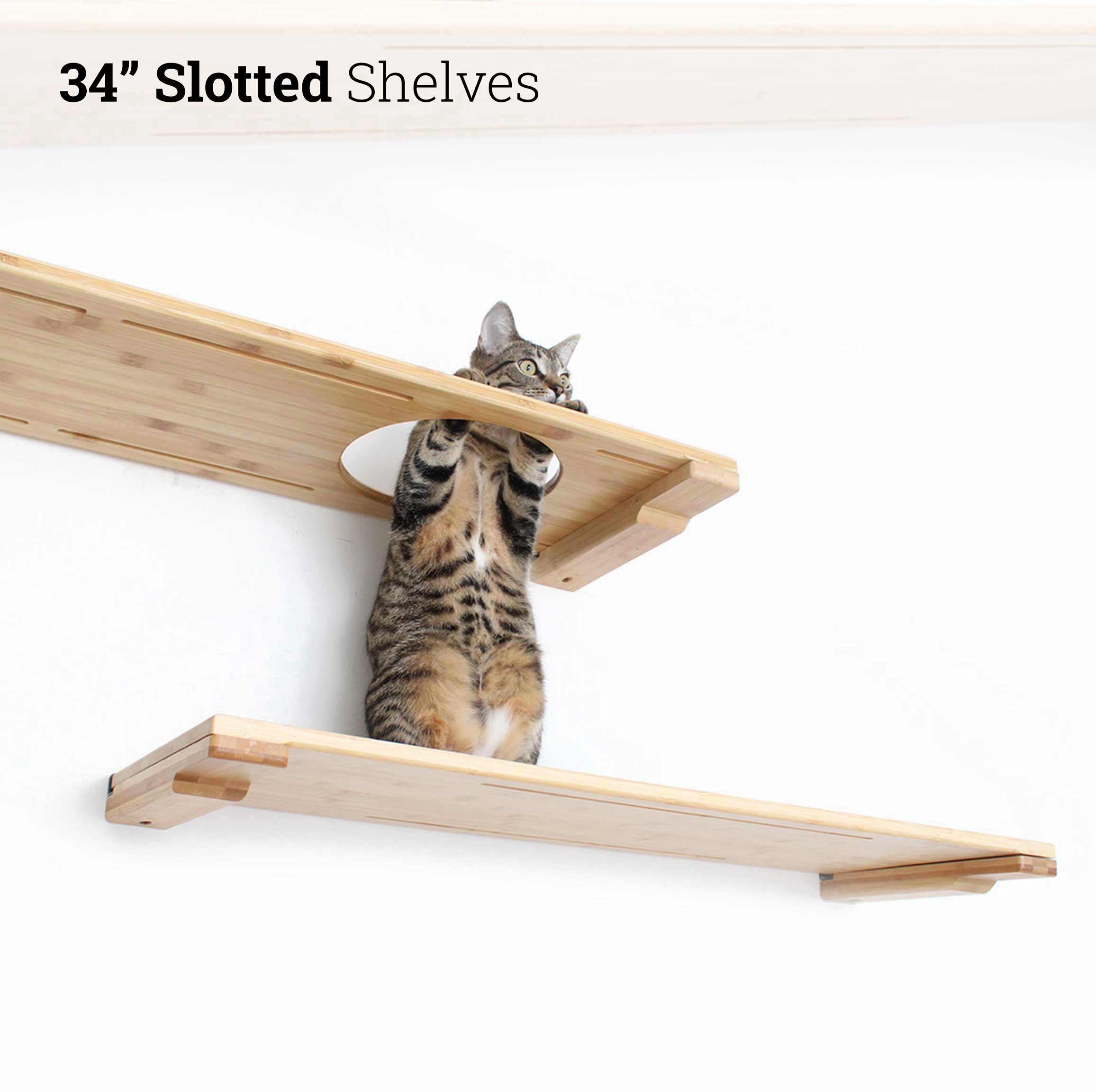 Wall-Mounted Cat Shelf - by Catastrophic Creations