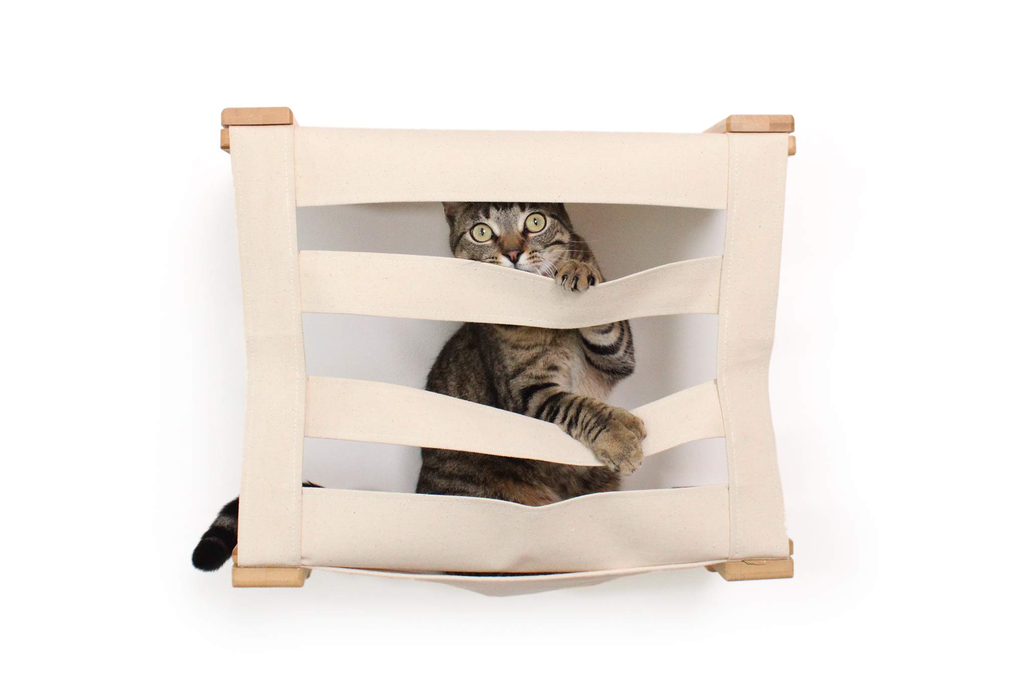 Cat Wall Cubby - Enclosed Cat Bed - by Catastrophic Creations