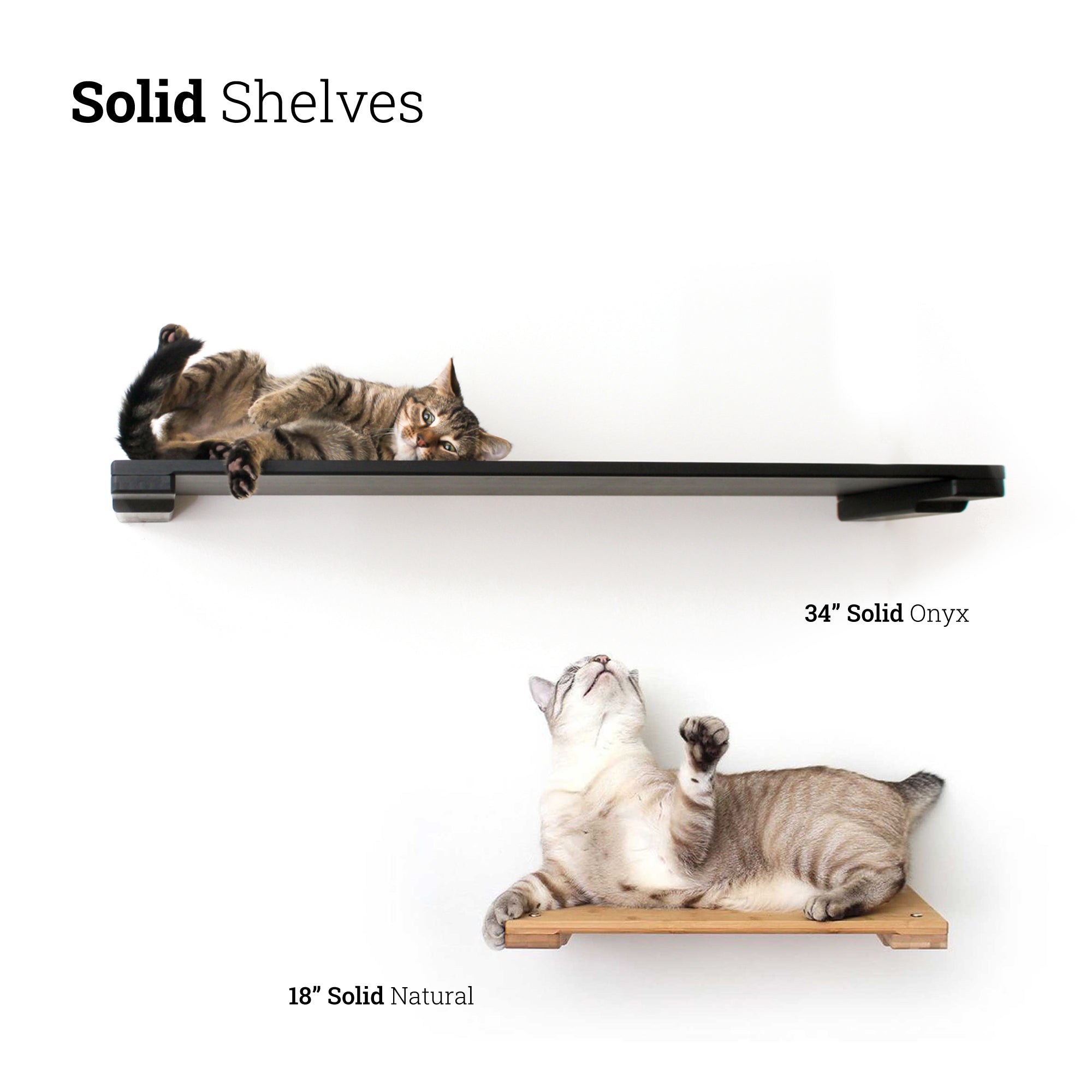 Wall-Mounted Cat Shelf - by Catastrophic Creations