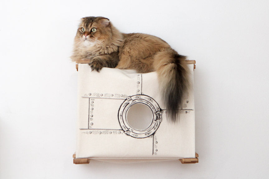 Cat Wall Cubby - Enclosed Cat Bed - by Catastrophic Creations