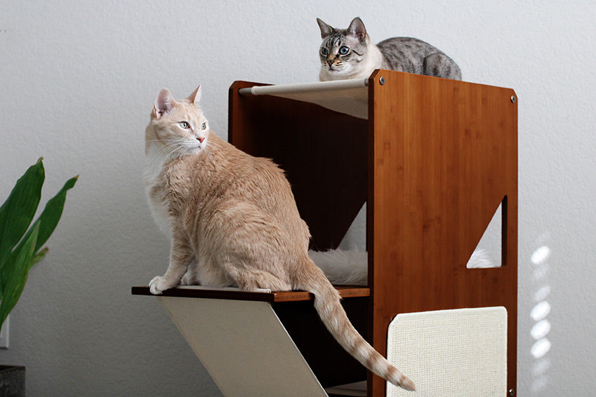 The Overlook - A Cat Tree For Large Cats - by Catastrophic Creations