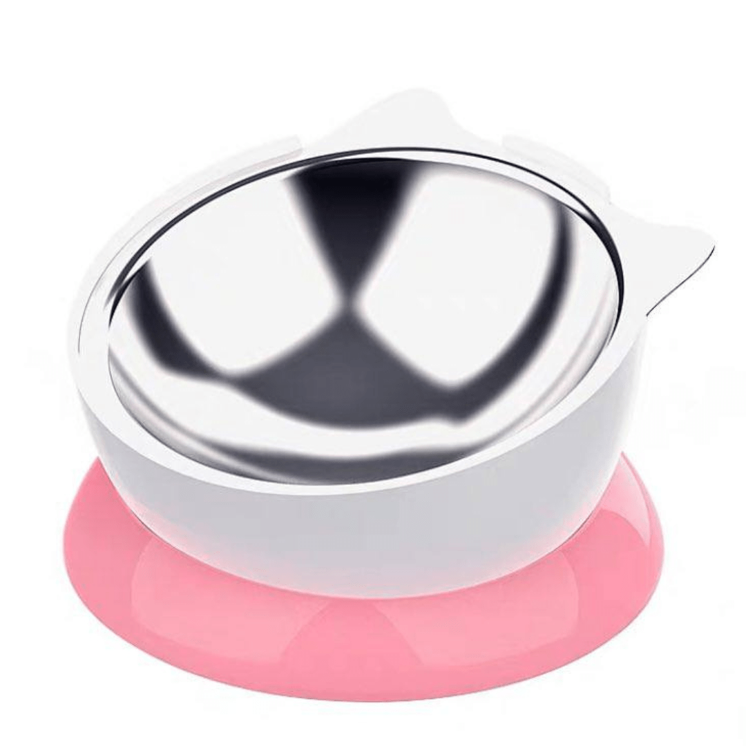 Stainless Steel Elevated Angled Cat Bowl