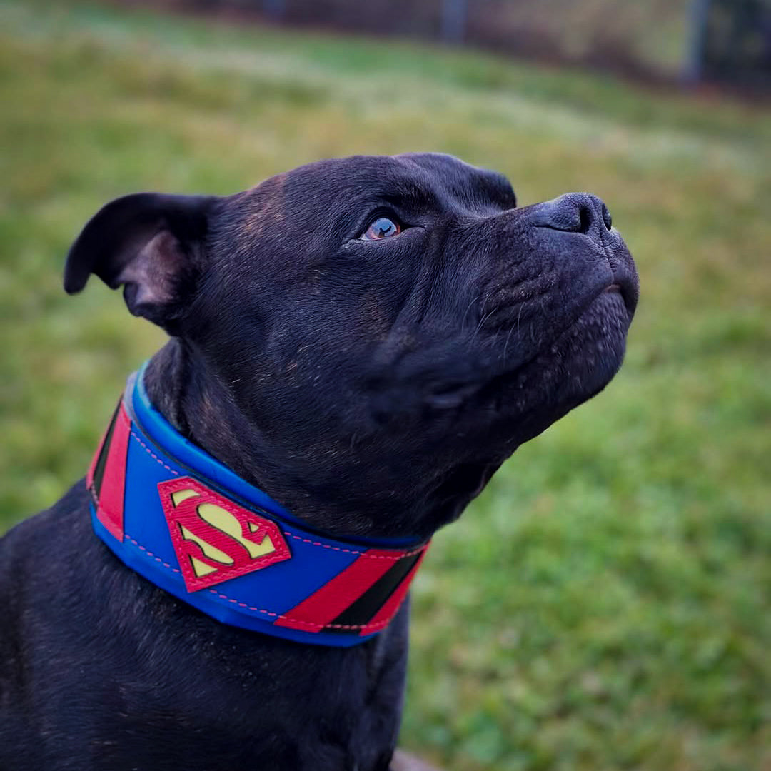 Superdog Collar